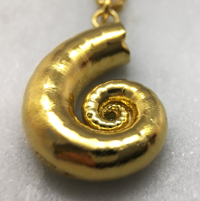 Gold Spirula Necklace