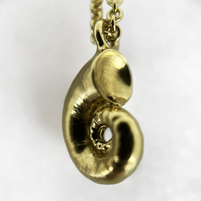Tiny Gold Spirula Necklace, Shell Necklace, Ocean Jewelry, Beach Necklace, Boho Necklace