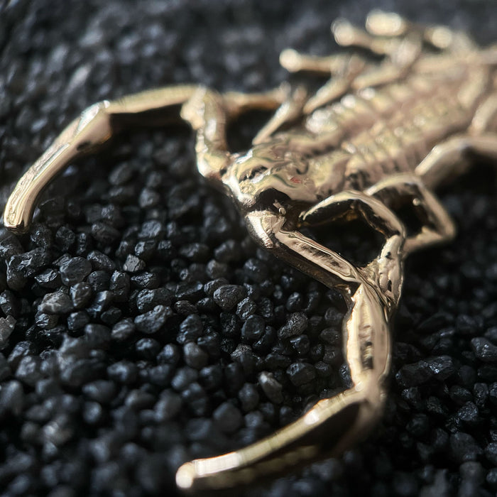 Gold Scorpion Necklace
