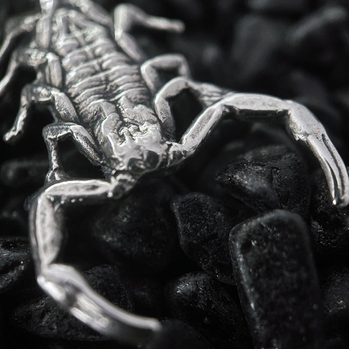 Silver Scorpion Necklace