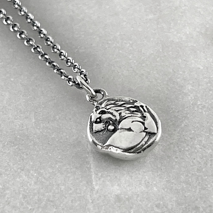 Silver Lion Coin Necklace