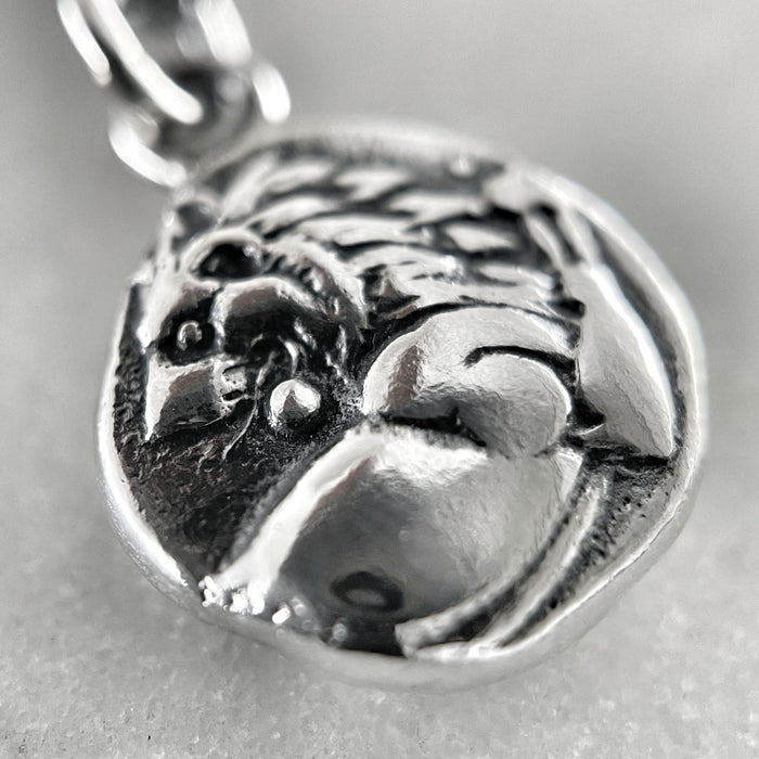 Silver Lion Coin Necklace