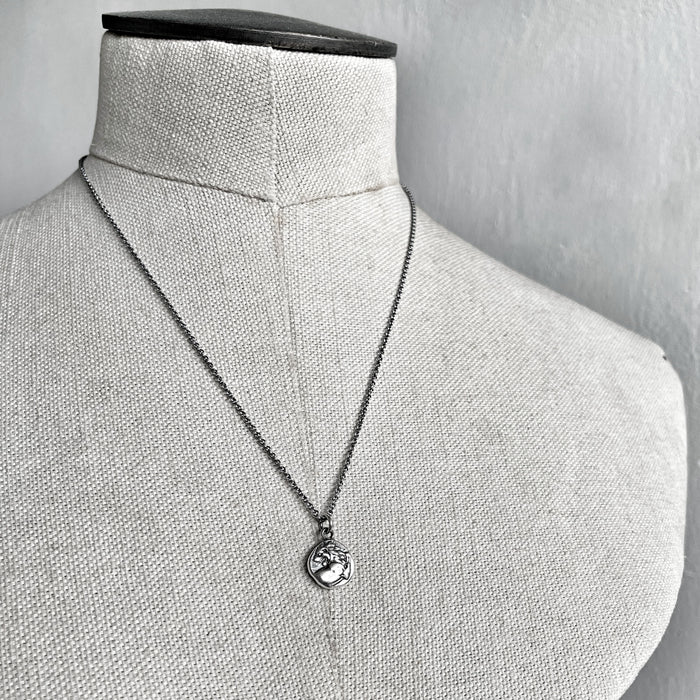 Silver Lion Coin Necklace