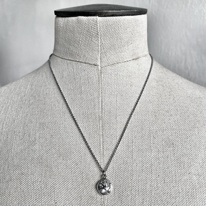 Silver Lion Coin Necklace