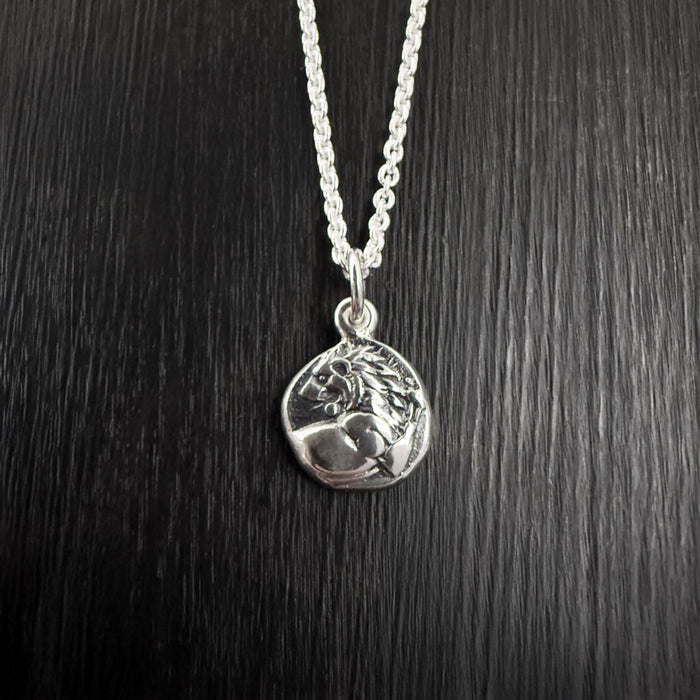 Silver Lion Coin Necklace