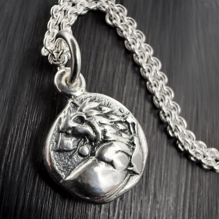 Silver Lion Coin Necklace