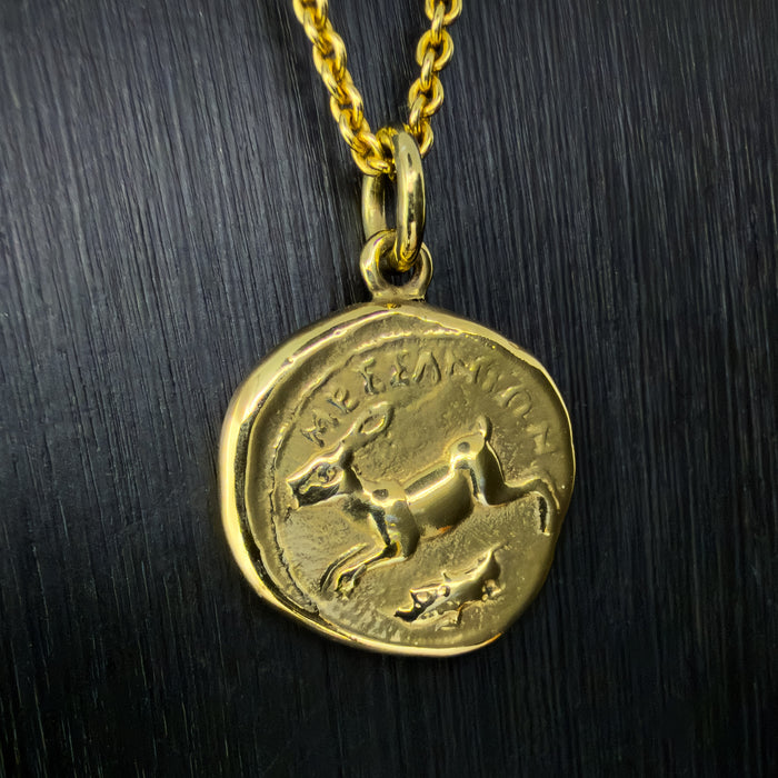 Octopus & Hare Gold Coin Necklace
