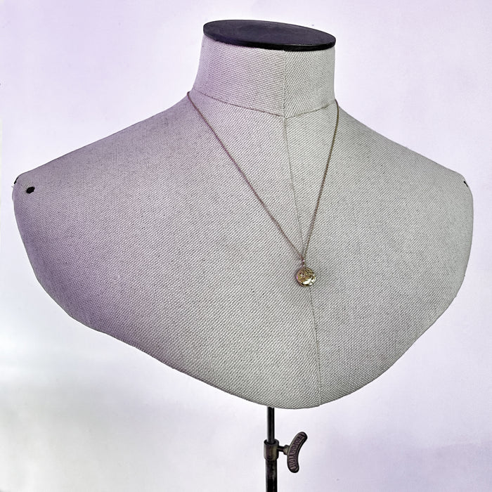 Solid 9k Gold Lion Coin Necklace