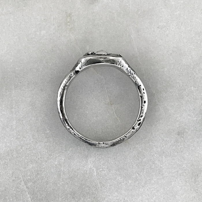 skull and crossbones ring full side view