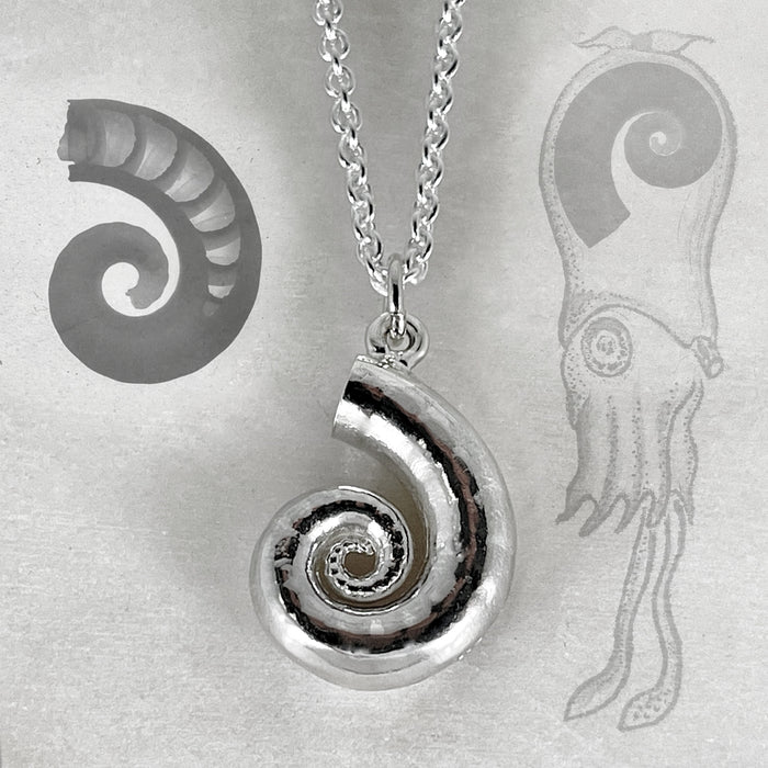 Silver Shell Necklace