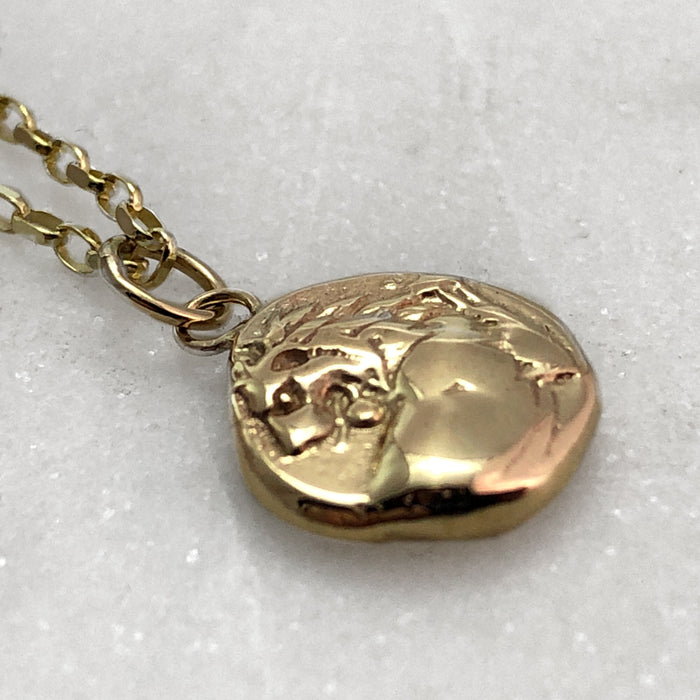 Solid 9k Gold Lion Coin Necklace