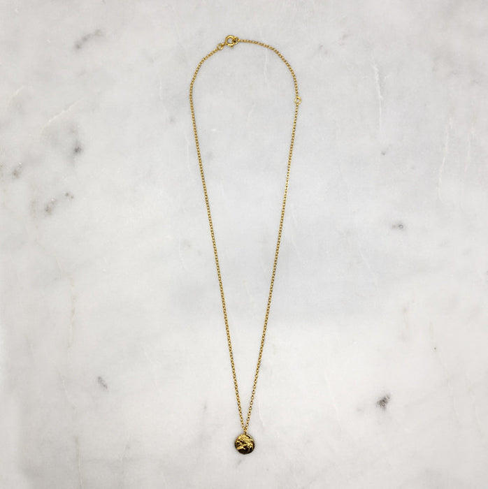 Gold Lion Coin Necklace