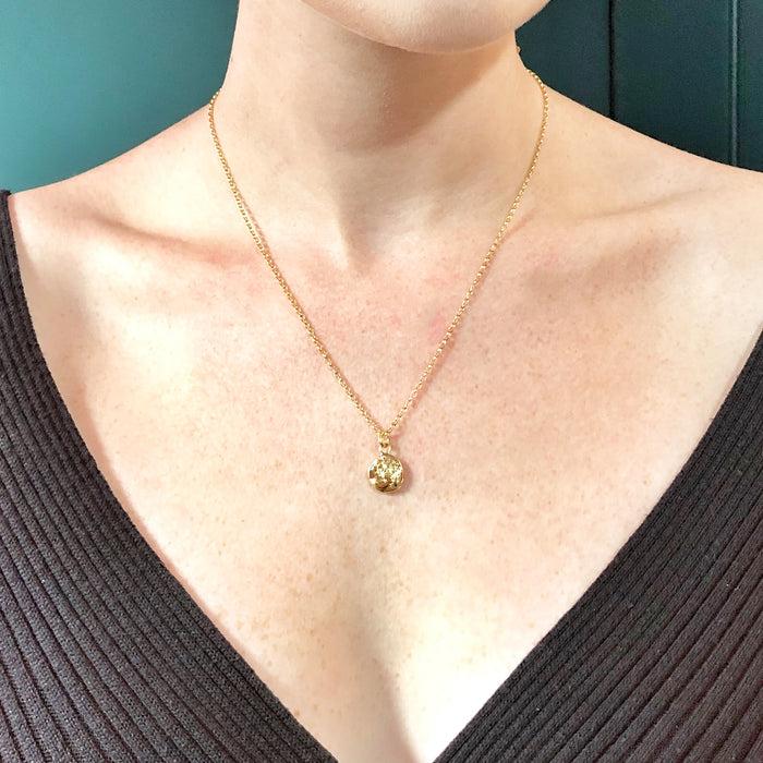 Gold Lion Coin Necklace