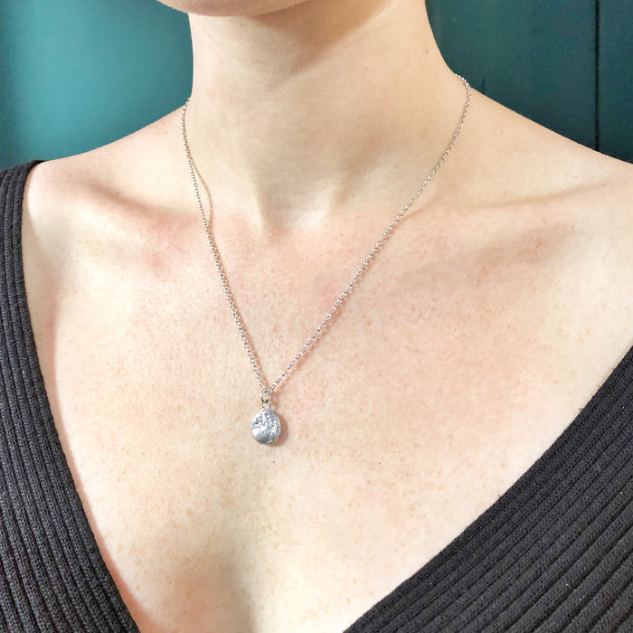 Silver Lion Coin Necklace