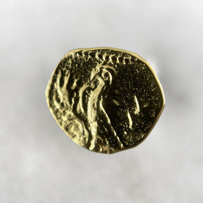 Gold Parrot Coin Earrings