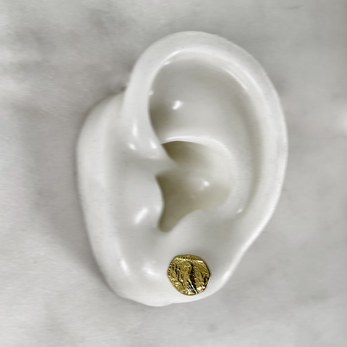 Gold Parrot Coin Earrings