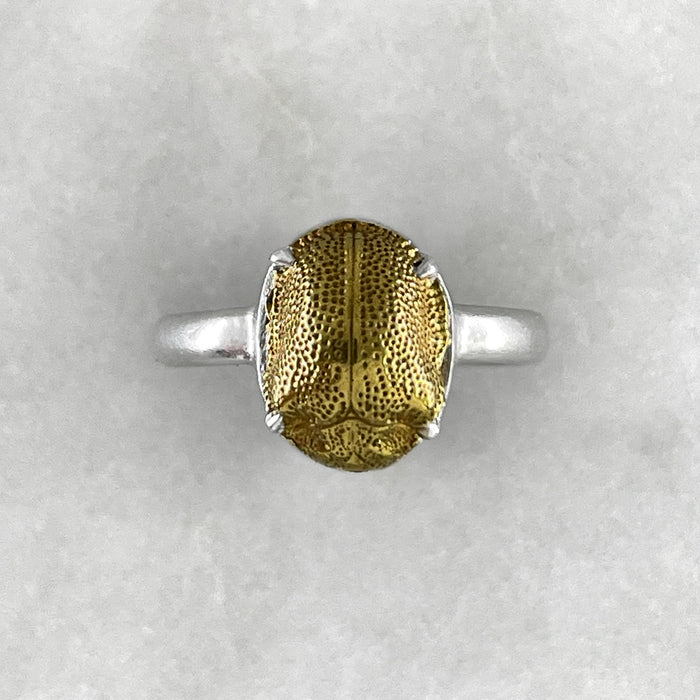 Golden Scarab Ring