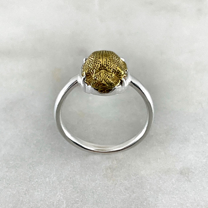 Golden Scarab Ring