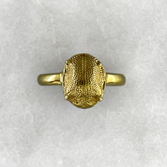Golden Scarab Ring