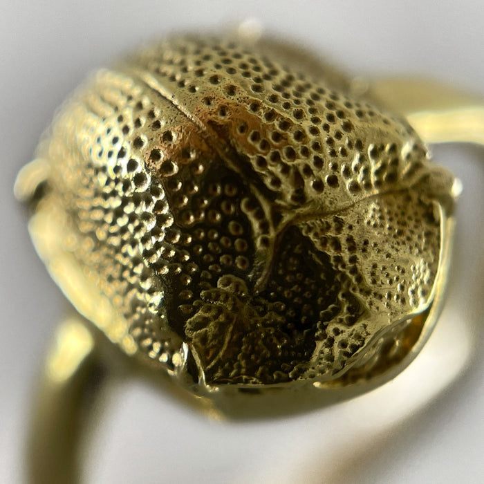 Golden Scarab Ring