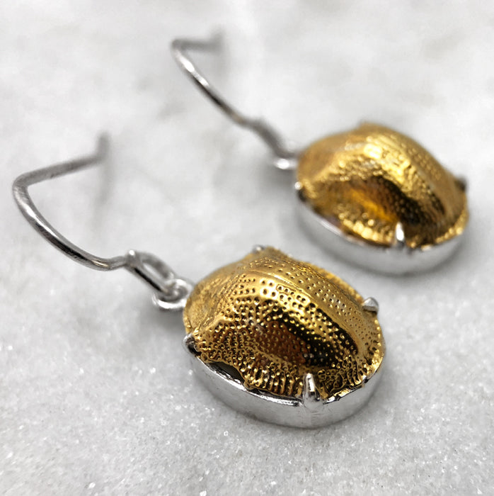 Scarab Beetle Silver / Gold Earrings