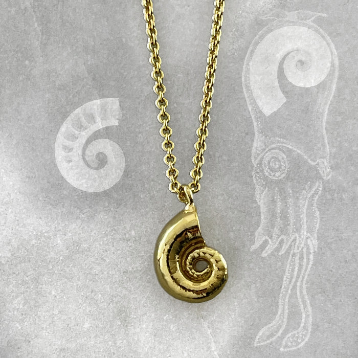 Tiny Gold Spirula Necklace, Shell Necklace, Ocean Jewelry, Beach Necklace, Boho Necklace