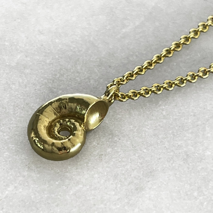 Tiny Gold Spirula Necklace, Shell Necklace, Ocean Jewelry, Beach Necklace, Boho Necklace