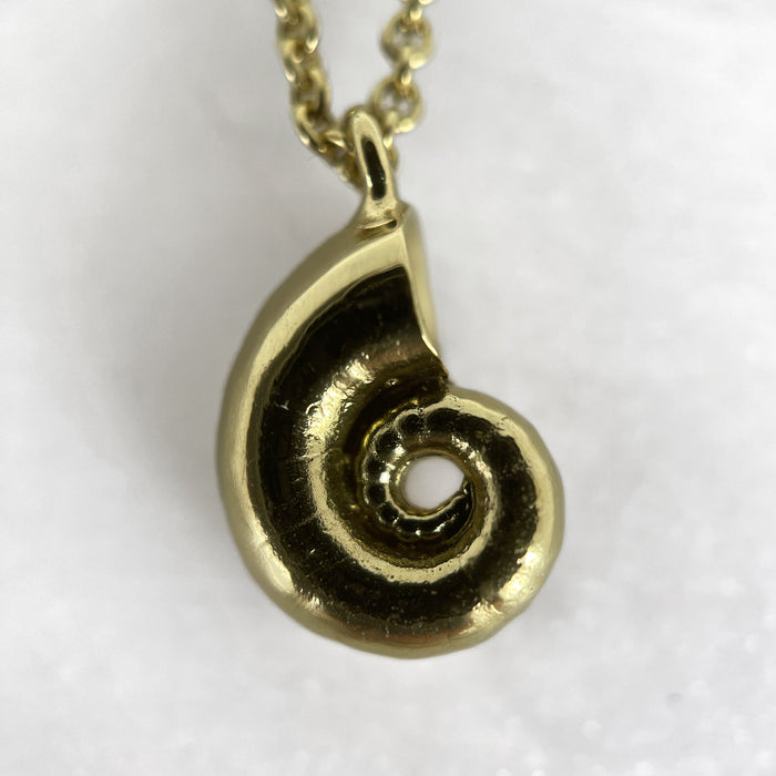 Tiny Gold Spirula Necklace, Shell Necklace, Ocean Jewelry, Beach Necklace, Boho Necklace
